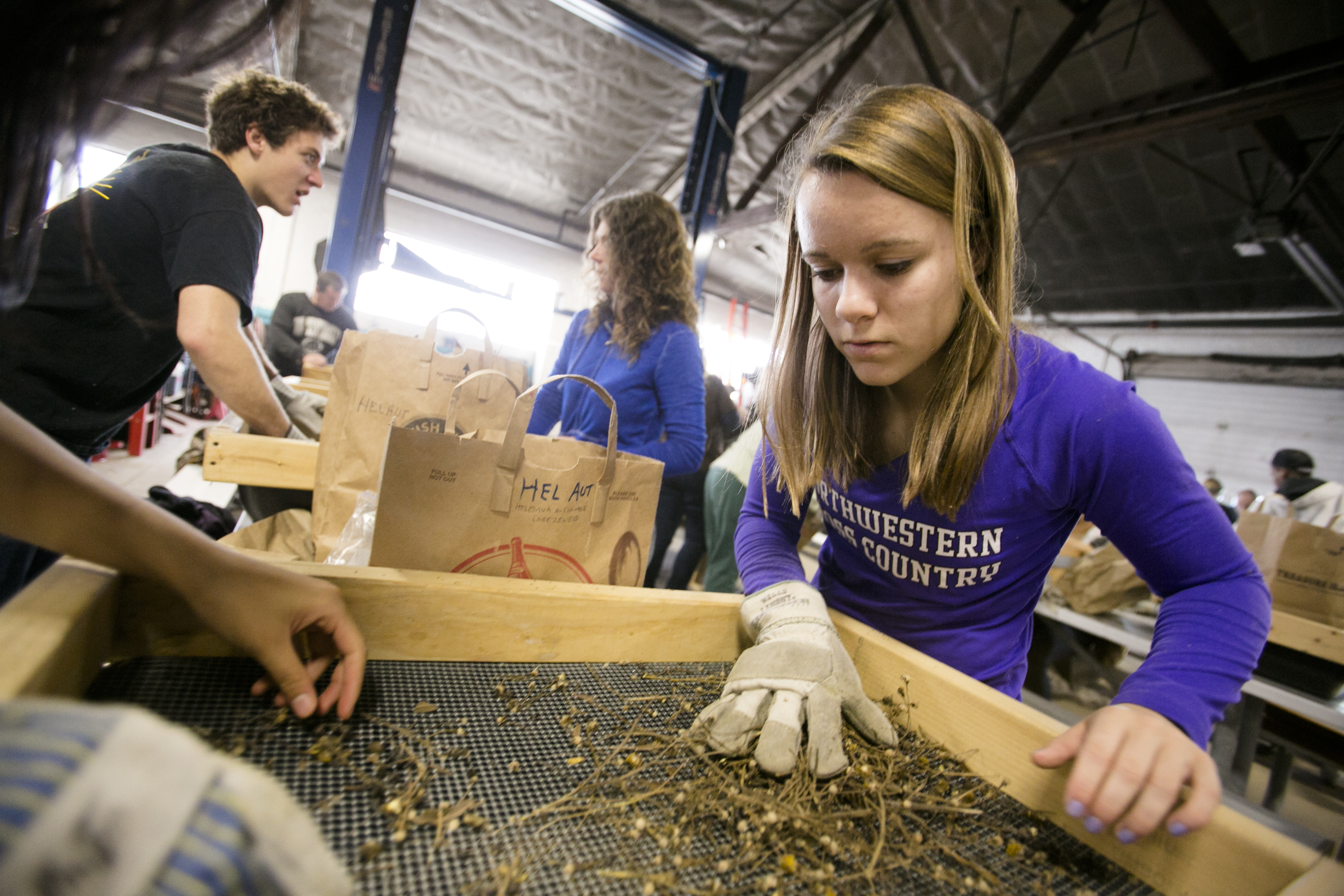 Volunteering in the Forest Preserves