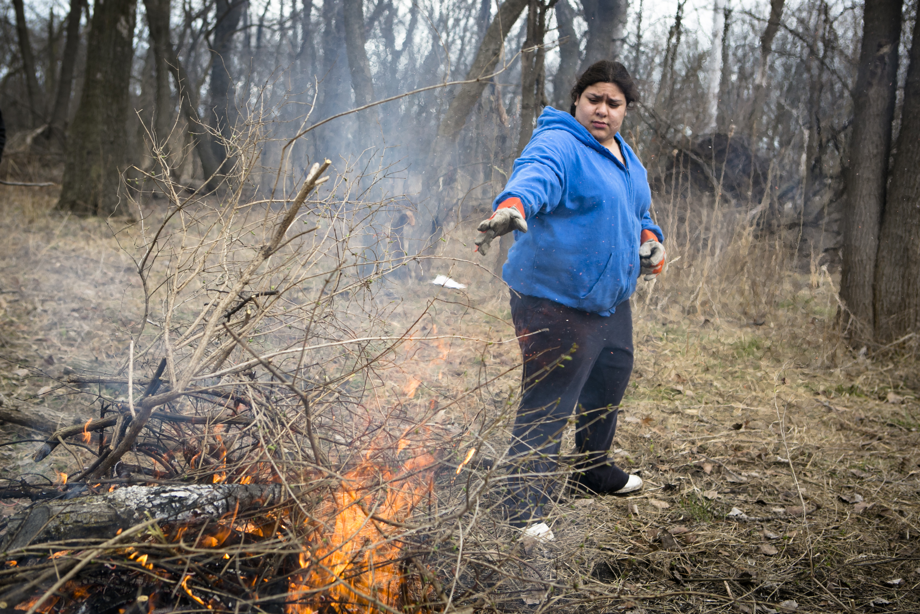 Volunteering in the Forest Preserves