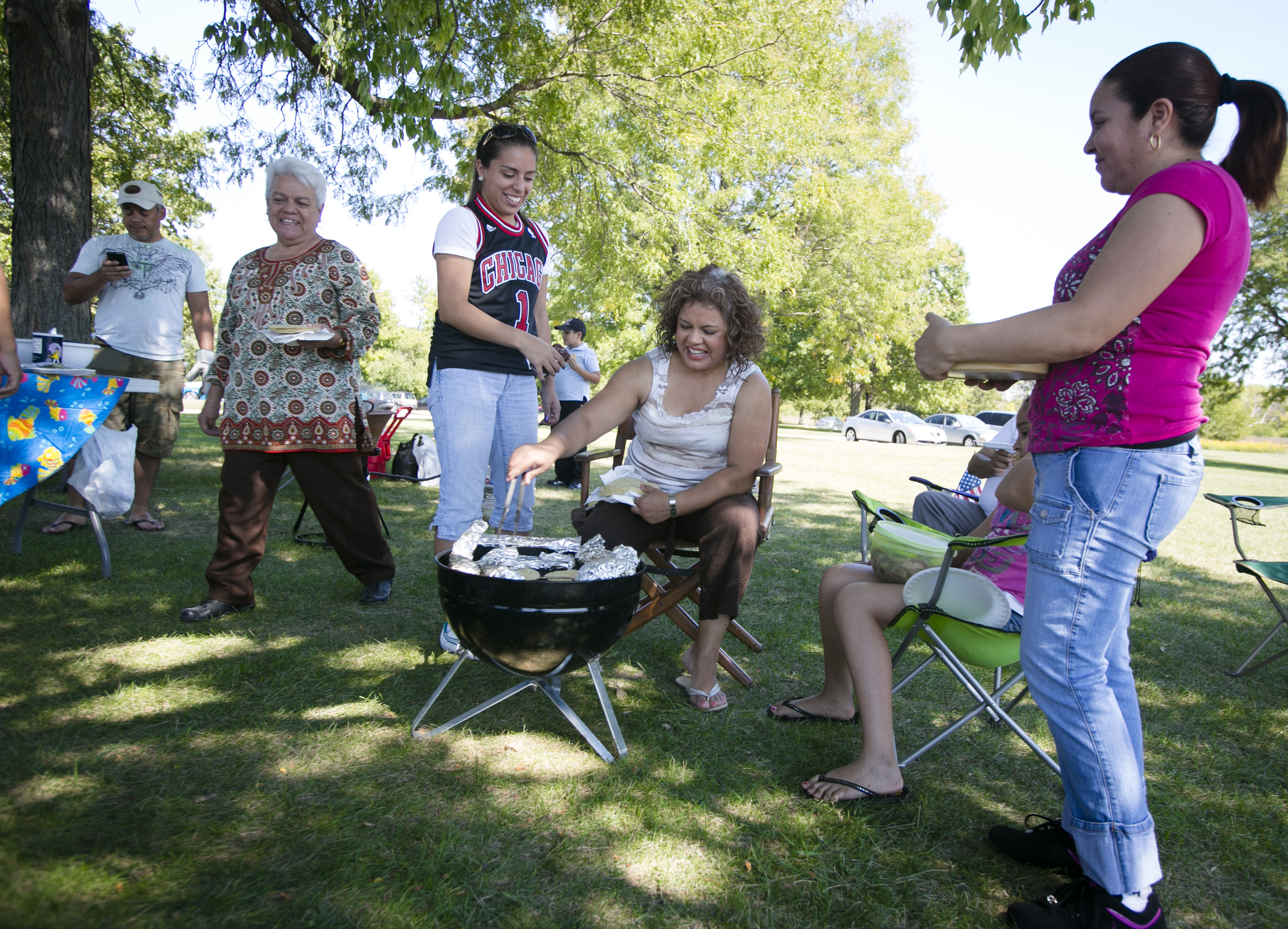 Picnics at the Forest Preserves