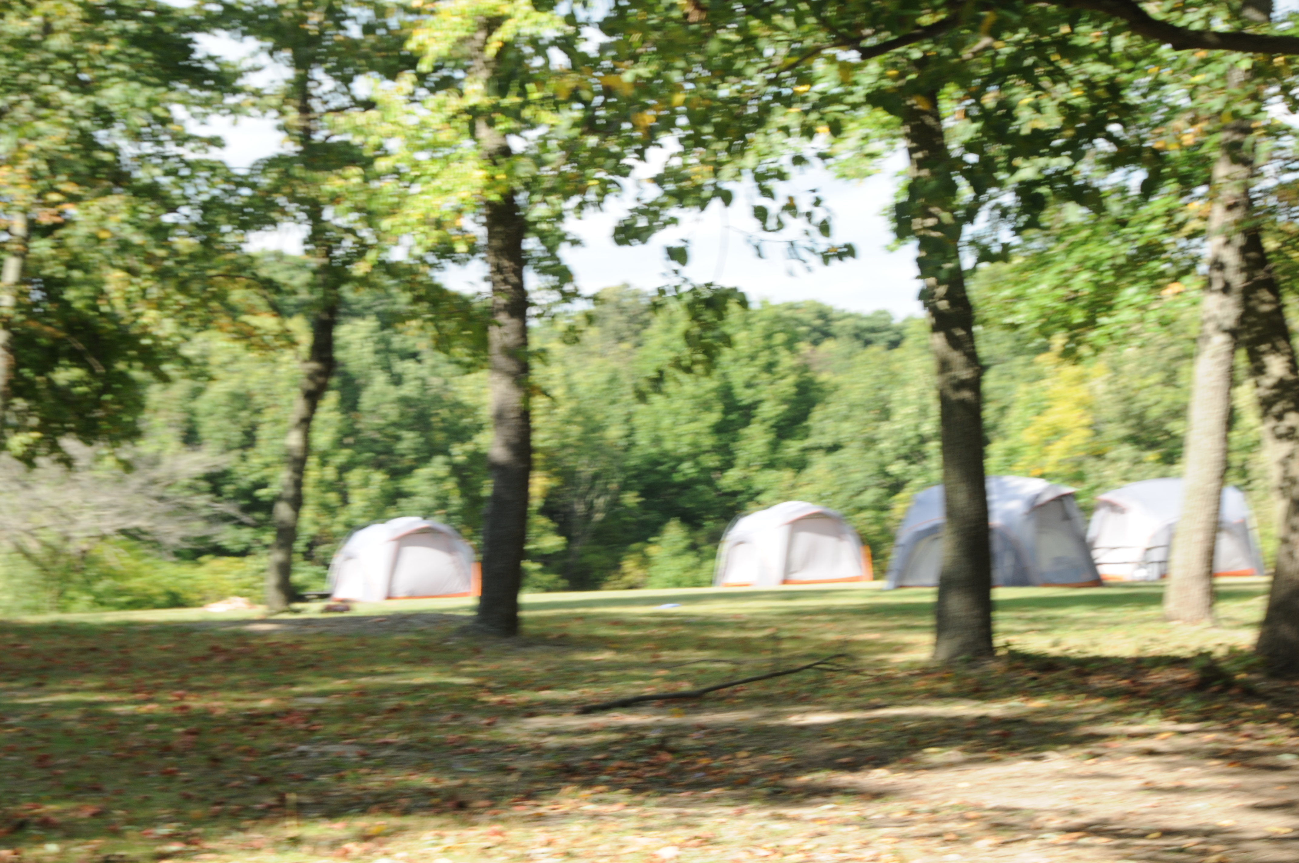 Camping in the Forest Preserves