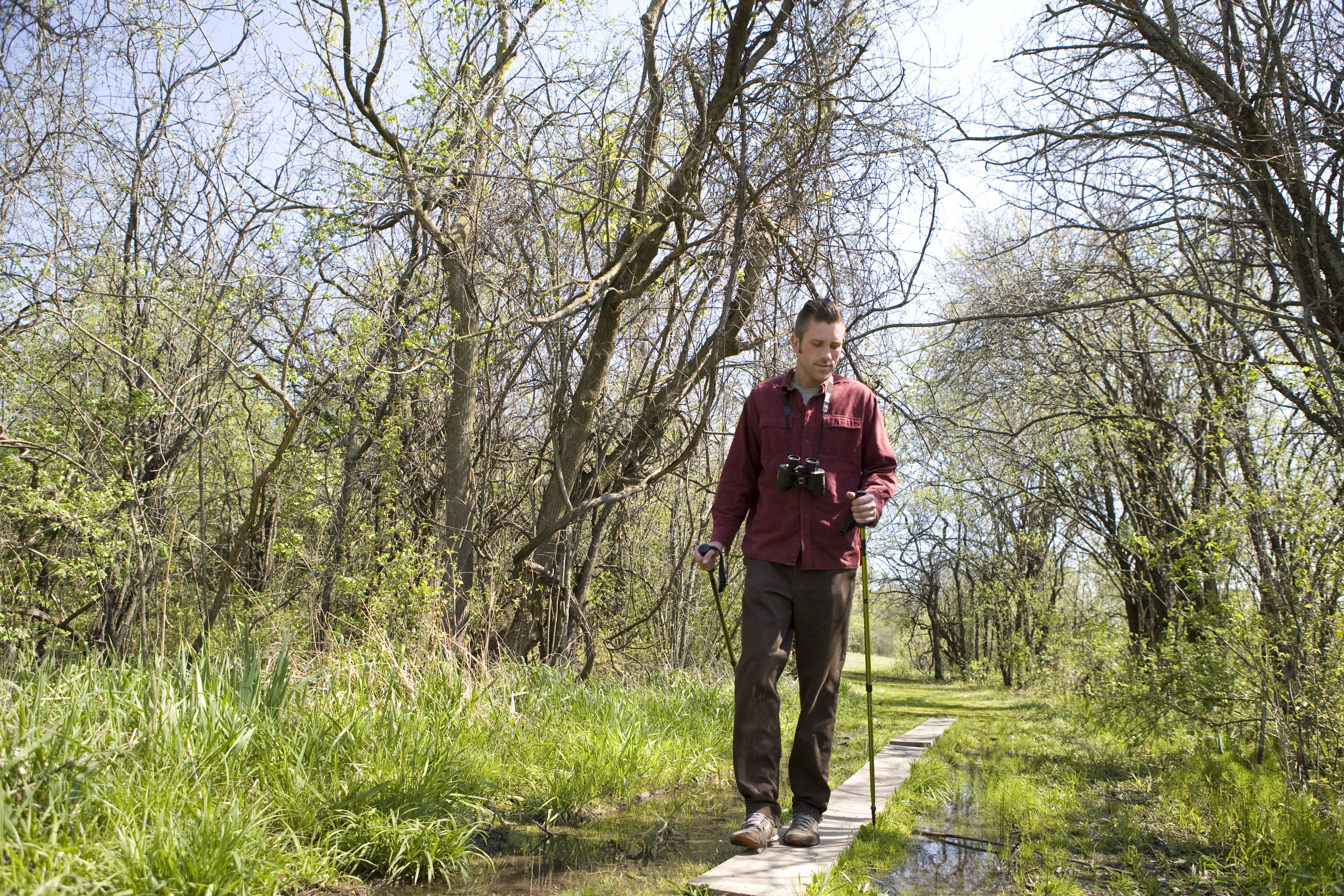 Spring activities at the Forest Preserves