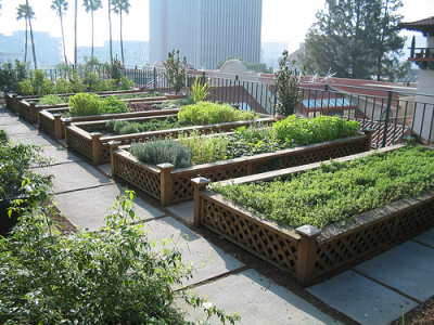 Rooftop Gardens