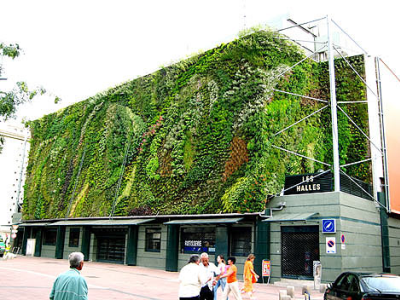 Vertical Gardening/Living Wall
