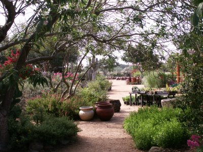 Landscaping public buildings (other than lawns)