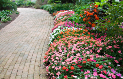 Landscaping public buildings (other than lawns)