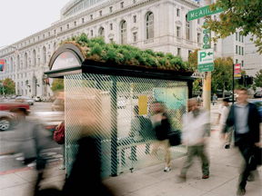 Living Roofs on bus stops