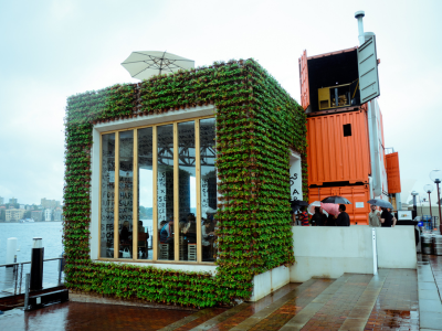 Living Roofs on bus stops
