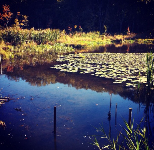 The Arboretum is very underrated. More people should go in there!
