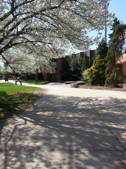 Outside Goddard in the Spring