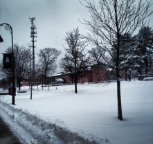 The center green, with or without snow