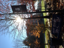 Webb Lawn