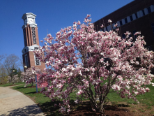 clocktower and webb lawn 