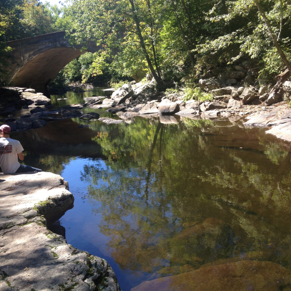 dianas pool 