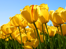 Spring is here and EVERYYYYBODY is outside !