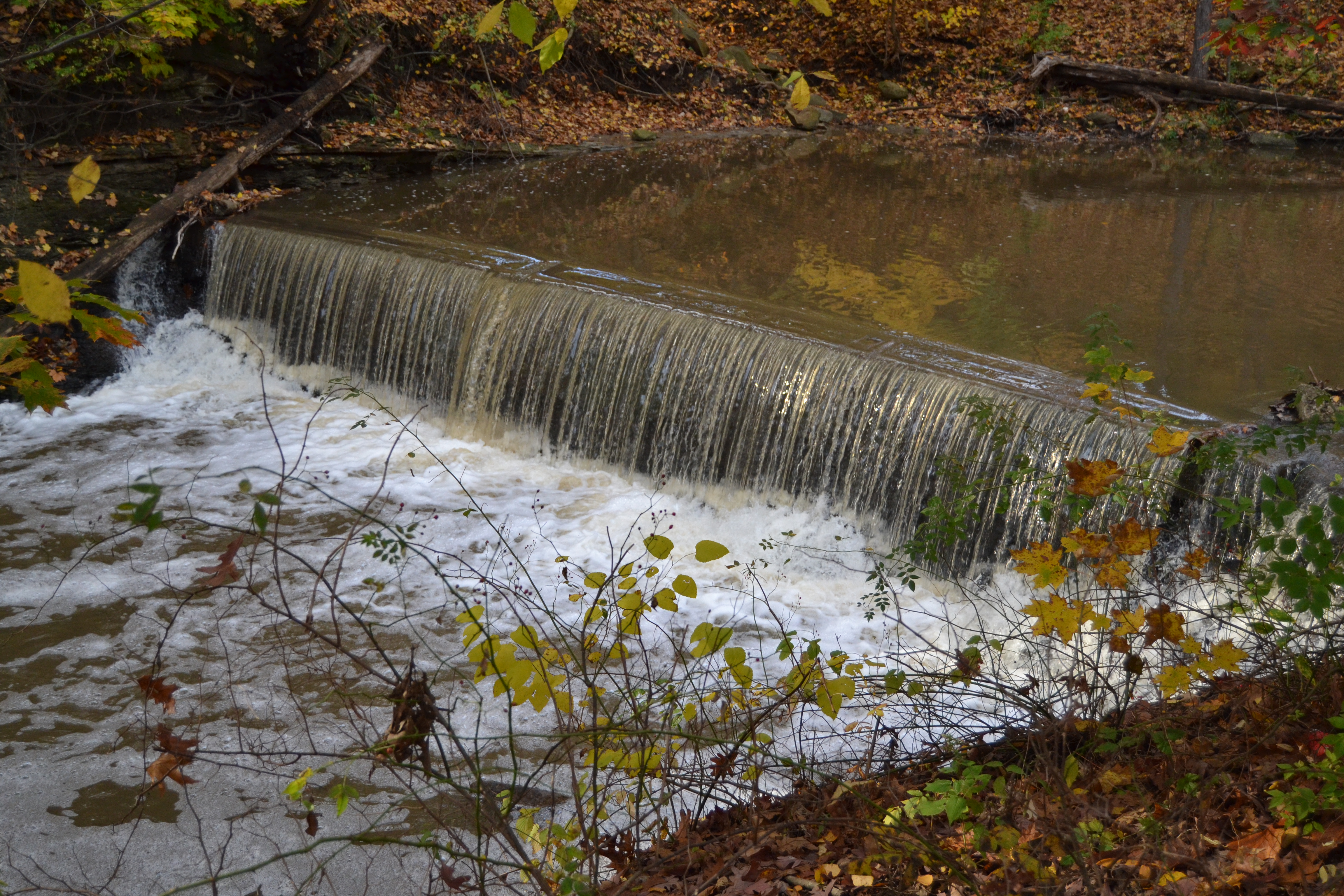 Improving Your Trails and Natural Areas