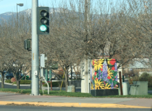 I recently traveled to Montana where I witnessed boring traffic boxes become works of art. Each one was unique. 