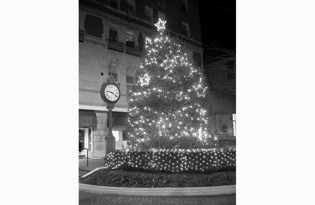 Tree Lighting