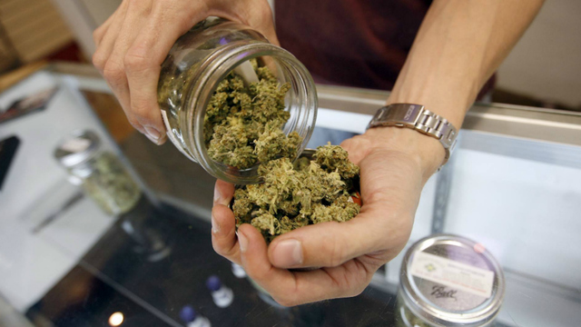 Cannabis Retail Sales Coming to Burlington?