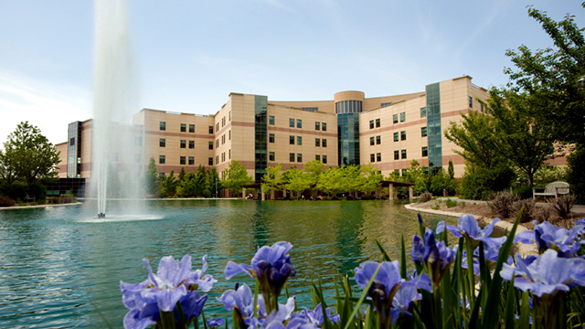 Challenge! Name the New Wing Image