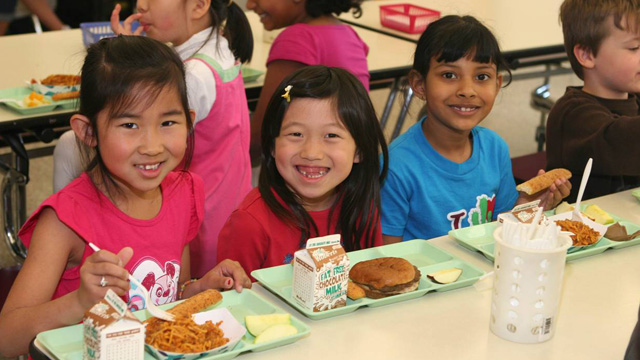 The School Lunch Experience