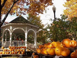 Moving forward after Pumpkin Festival 2014