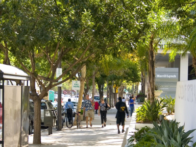 Designated "Urban Walking Zones"