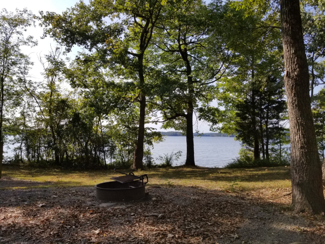 Hammock view from a campsite in Piney Campground, October 2017.