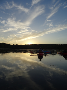 Sunset Kayak Trip at NS on Honker Lake: Great opportunity to see tons of wildlife. Perfect time of day. `