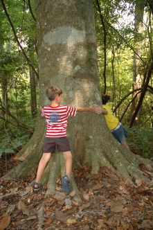 Tree Huggers