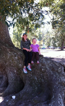 Sitting on a beautiful tree in the campground at Fontainebleau State Park, Mandeville, LA