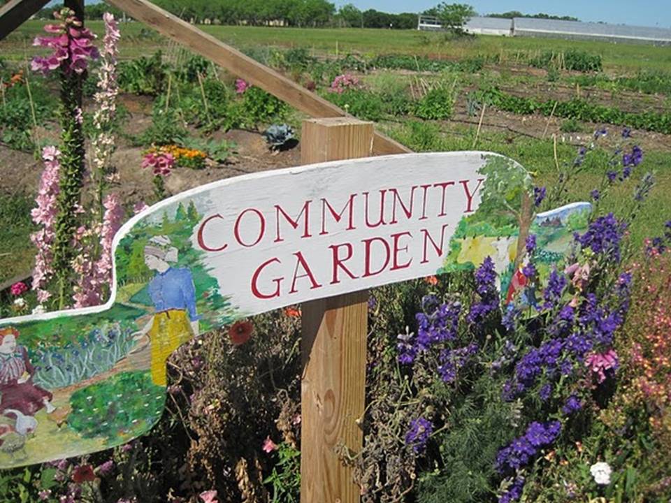 COMMUNITY GARDENS