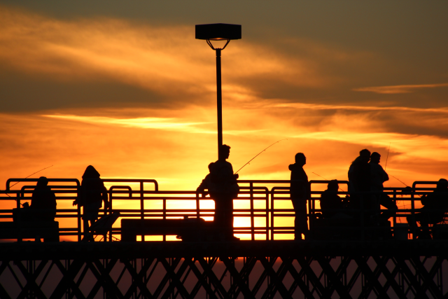 fishing from the pier