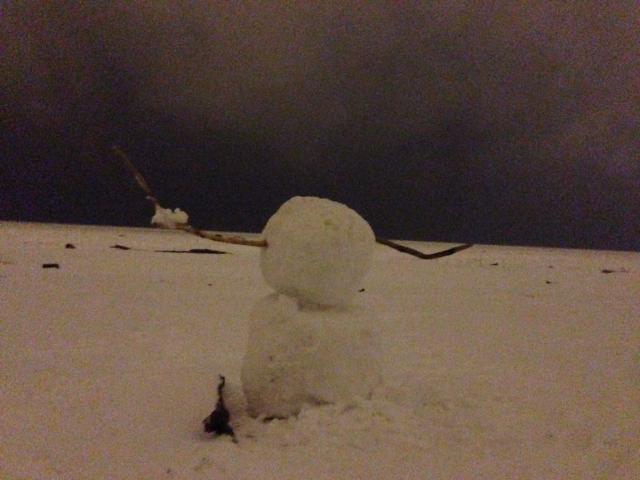 I found the most metal snowman in Cleveland the other night