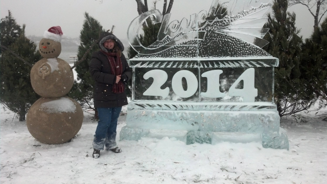 New Years Day 2014