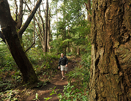 Interpretive Signage in the Forest Area of Point Defiance Park