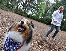 Dog Park at Point Defiance Park