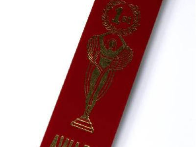 Elementary Public Award Program
