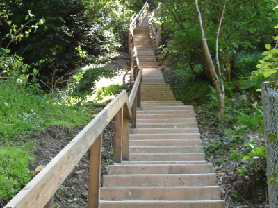 Steps Lanes & Paths