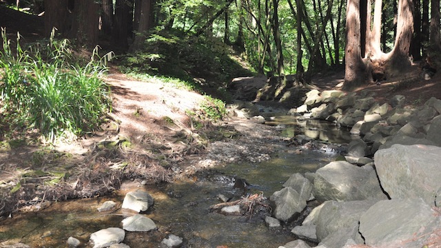 Respecting the Surrounding Environment
