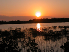 Big PIne Key Sunset on Narcissus Drive in Eden Pines Colony