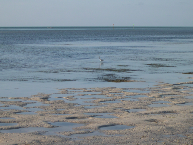 Low tide at Anne's beach Lower Matecumbe Key