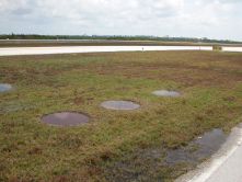 Key West Airport Saltwater Rising Out Of Storm Drains