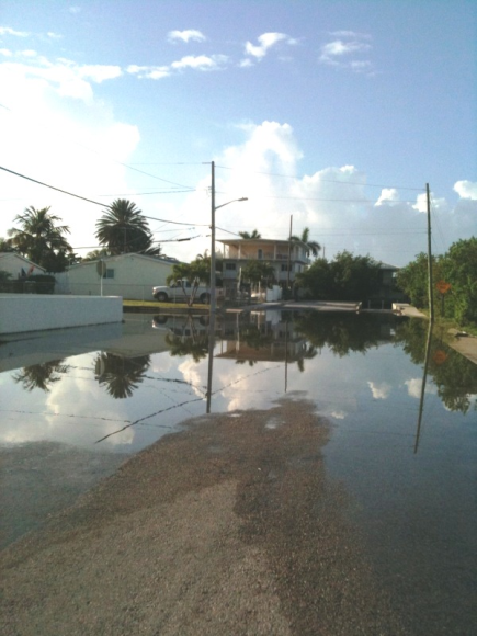 Key West 11th St. Flooding