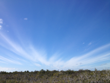 west view over the Great White Heron Wildlife Refuge - Upper Sugarloaf Key