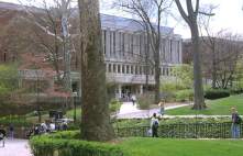 The green space behind Alden Library.