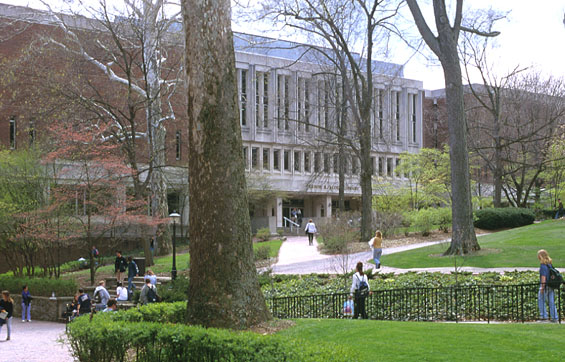 The green space behind Alden Library.