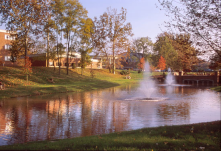 Emeriti Park.