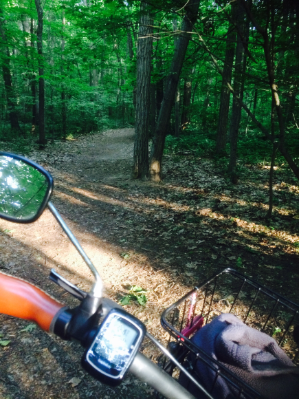 Trail network in the woods north of Rotary Paek