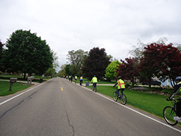 Bicycle Network: Part I