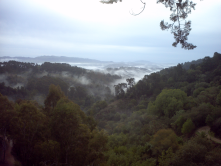 Redwood Regional Preserve